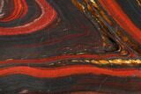 Polished Tiger Iron Stromatolite - Billion Years #129433-1